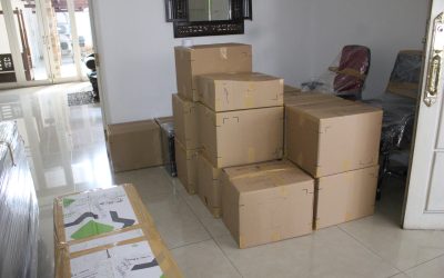 Packing With Carton – Askmover Indonesia